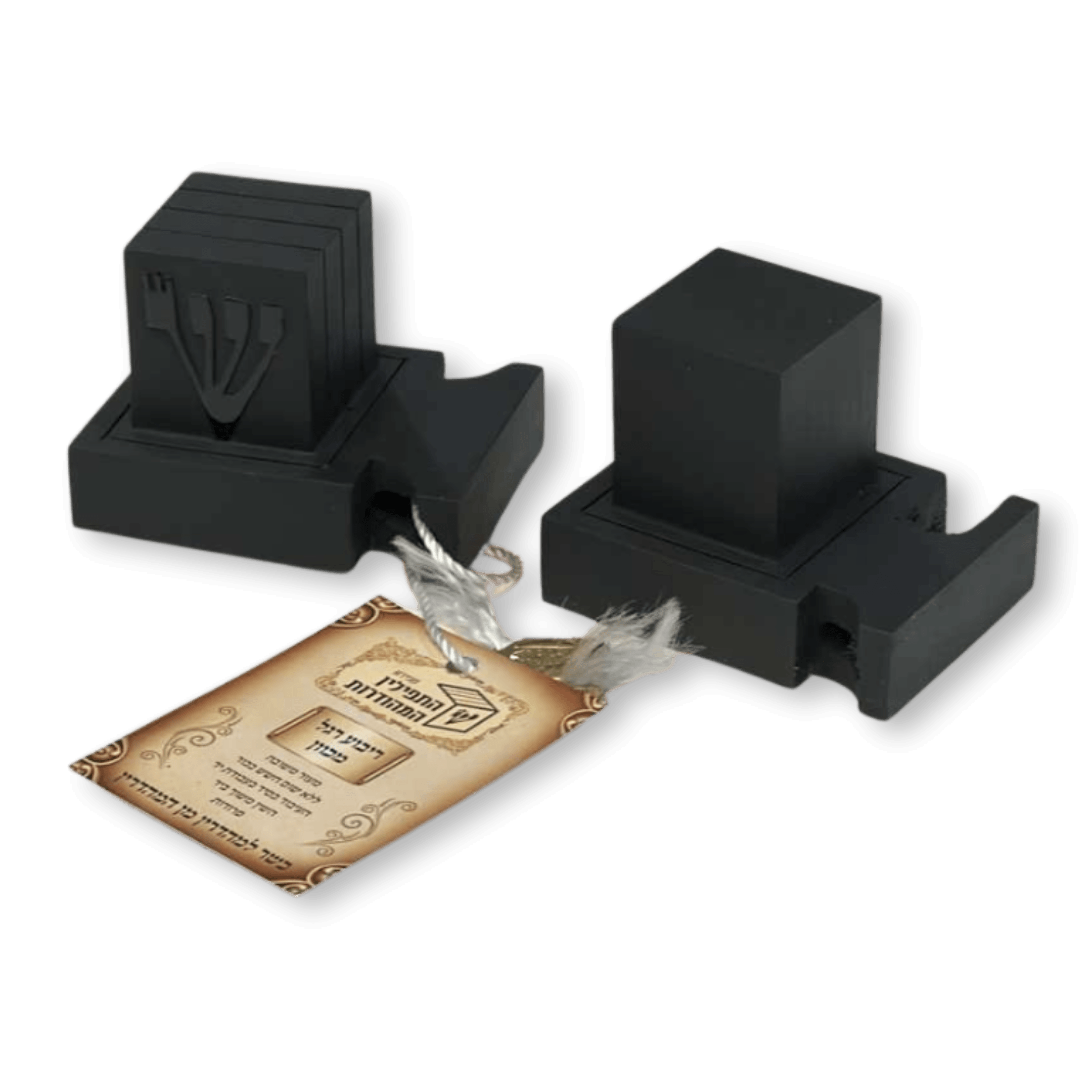 Selected Tefillin